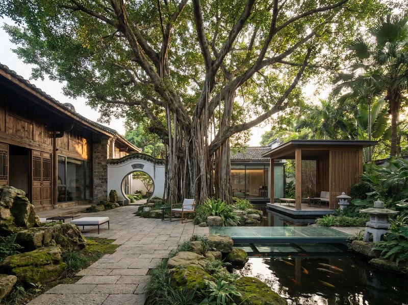 丝瓜视频古榕树纪录片视频